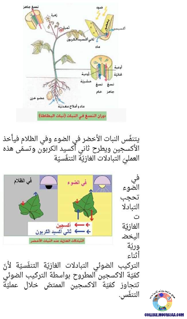 ملخصات_دروس_علوم_الحياة_و_الارض