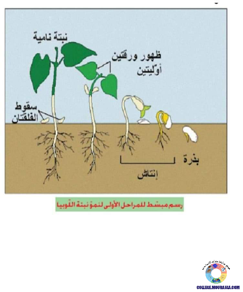 ملخصات_دروس_علوم_الحياة_و_الارض