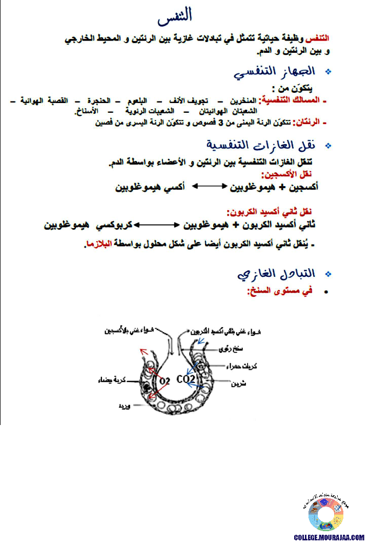 ملخص-لدرس-التنفس-عند-الإنسان