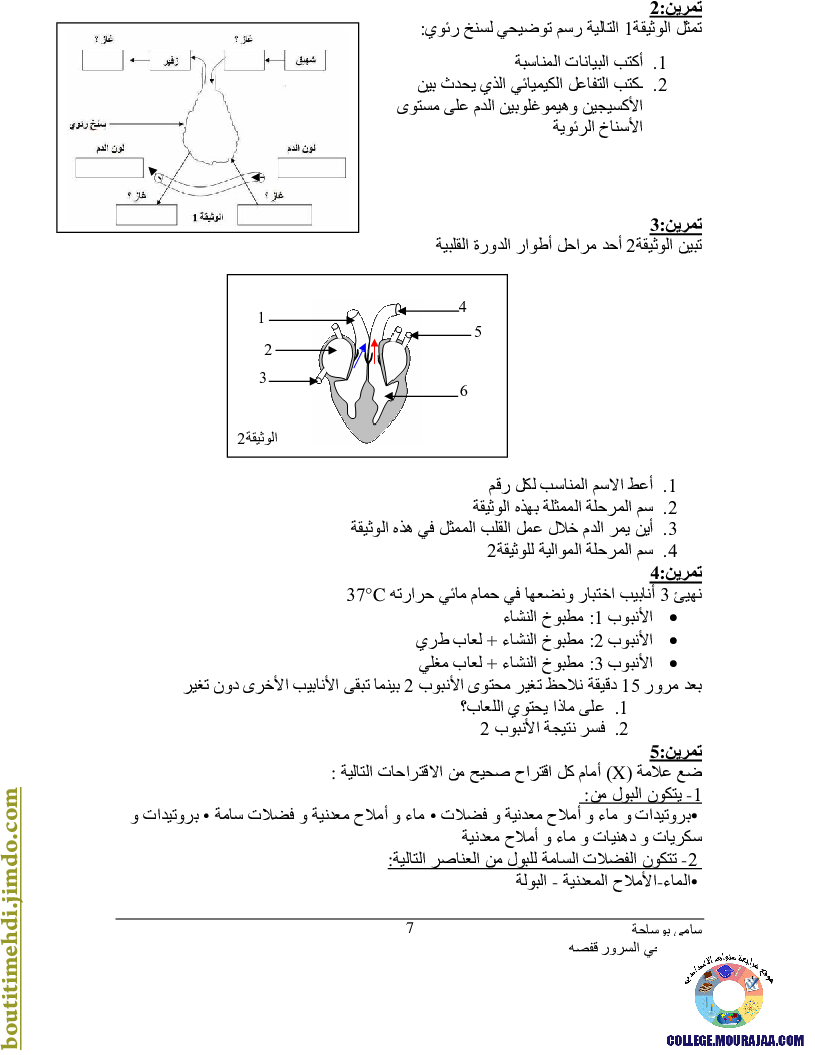 مراجعة_دروس_علوم_الحياة_سنة_سابعة