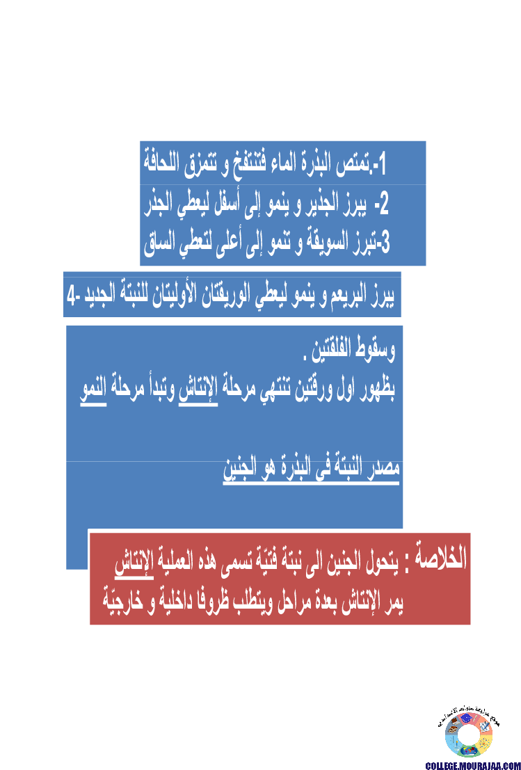 الانتاش_و_النمو_عند_النبات_الاخضر