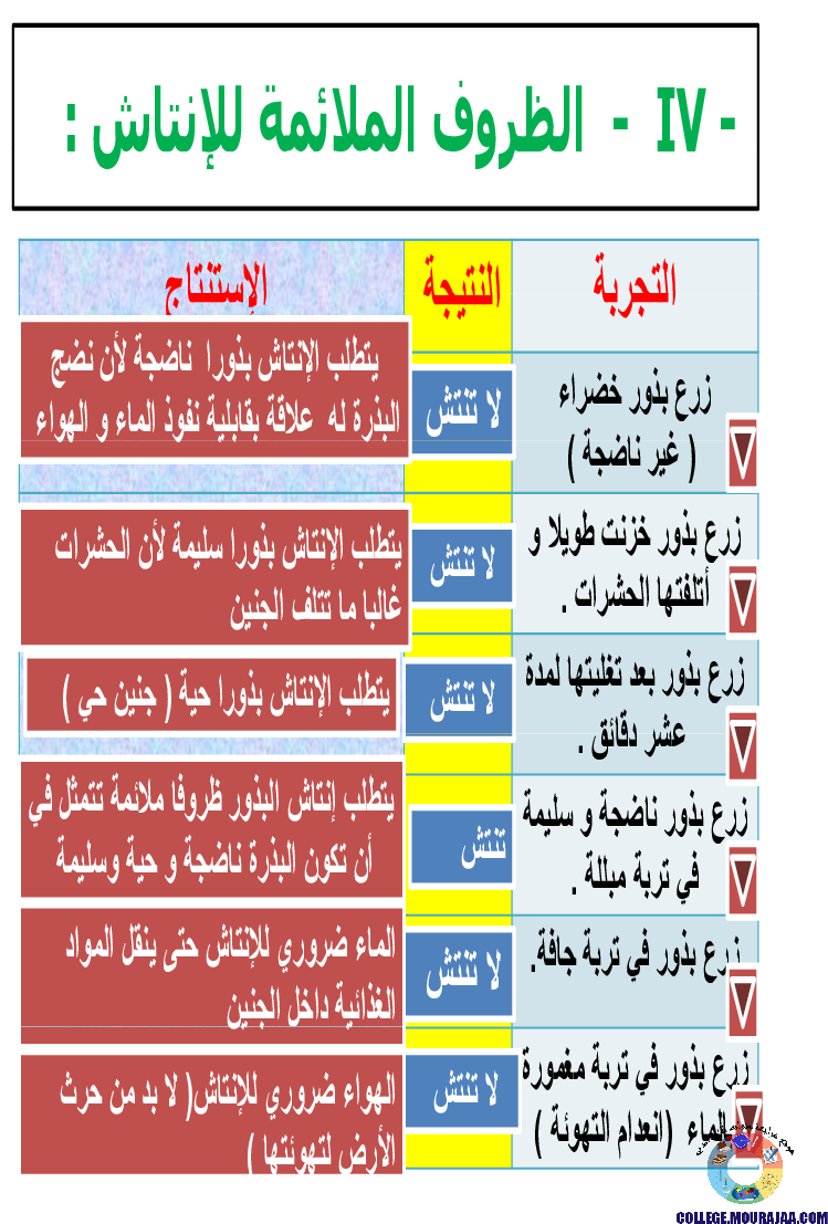 الانتاش_و_النمو_عند_النبات_الاخضر