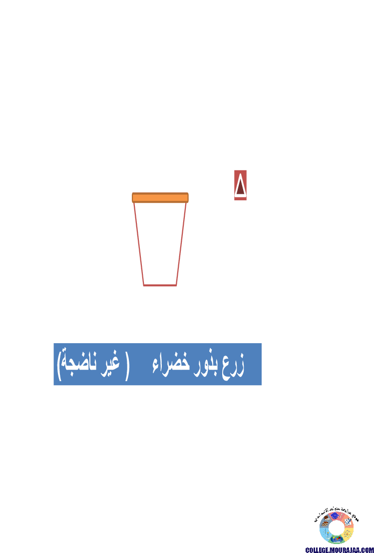 الانتاش_و_النمو_عند_النبات_الاخضر