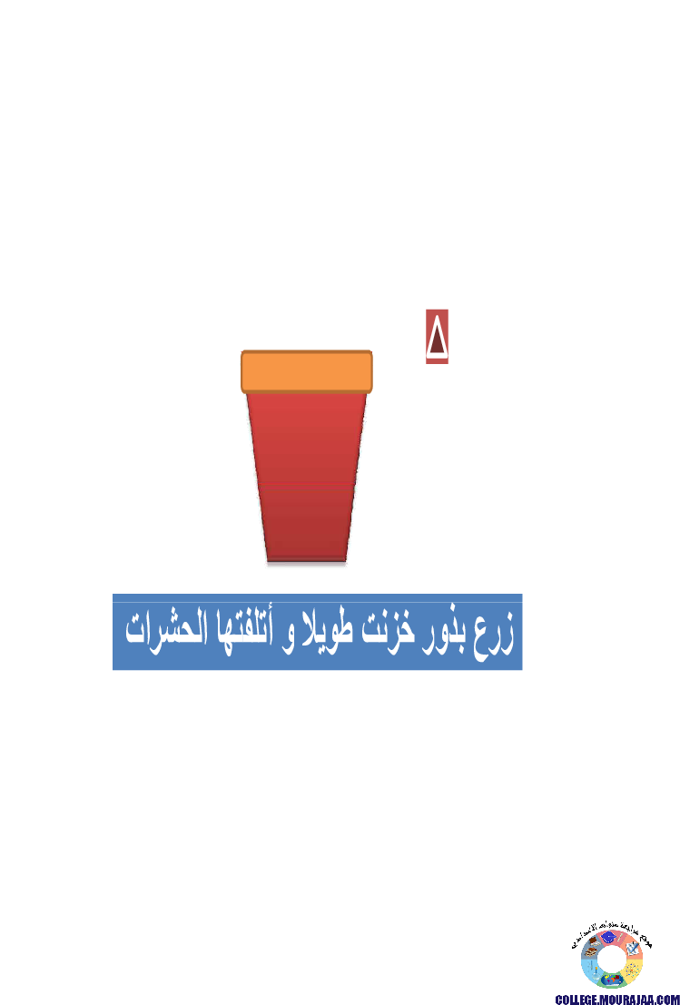 الانتاش_و_النمو_عند_النبات_الاخضر