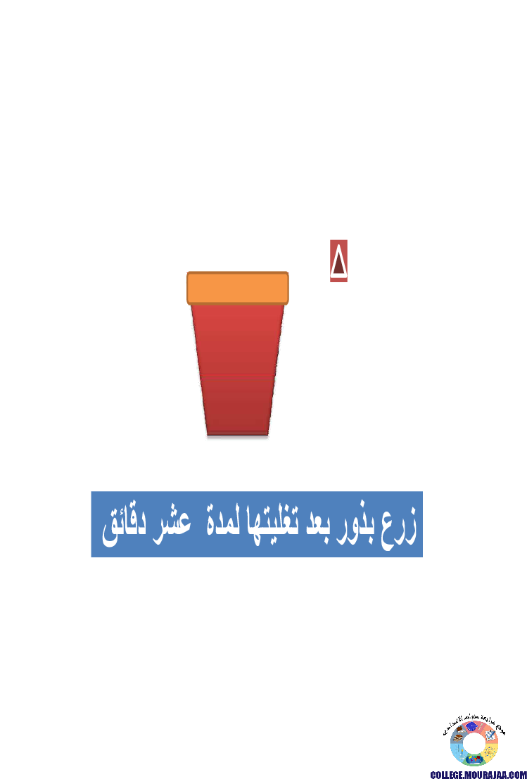 الانتاش_و_النمو_عند_النبات_الاخضر