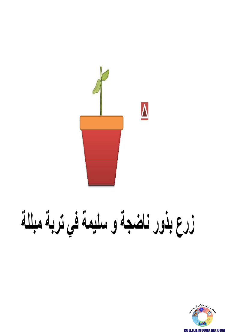 الانتاش_و_النمو_عند_النبات_الاخضر