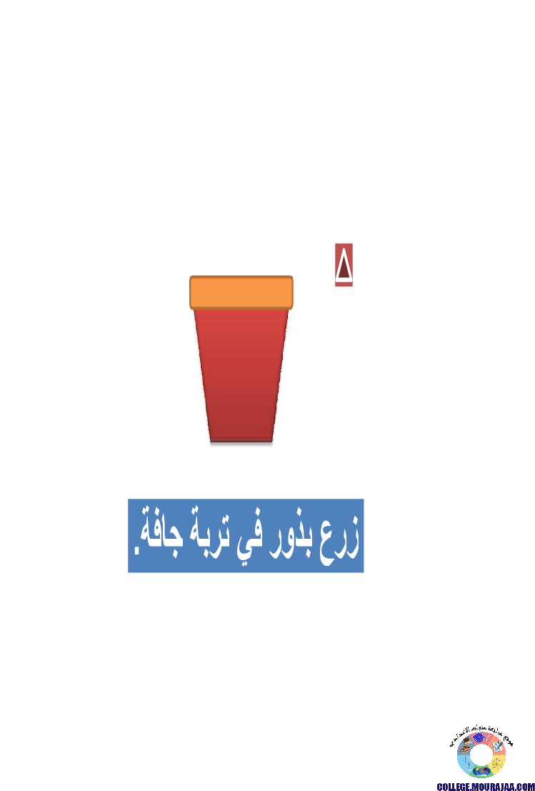 الانتاش_و_النمو_عند_النبات_الاخضر