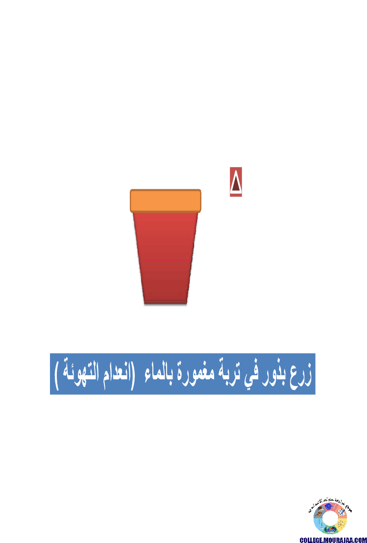 الانتاش_و_النمو_عند_النبات_الاخضر