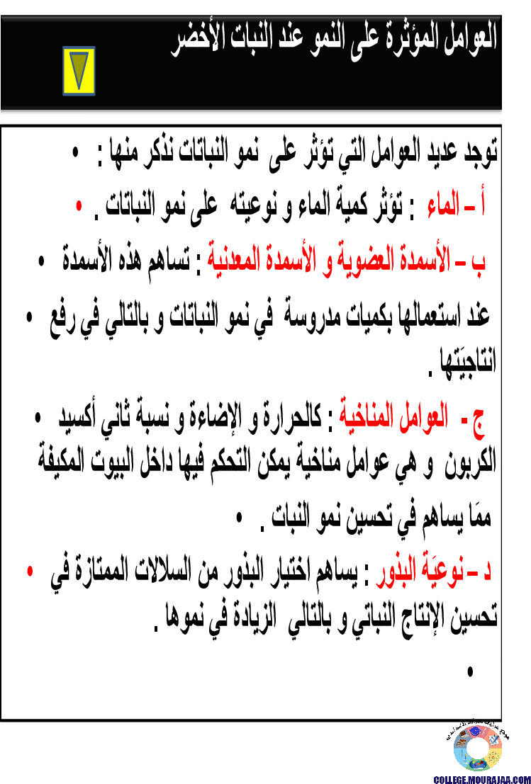 الانتاش_و_النمو_عند_النبات_الاخضر