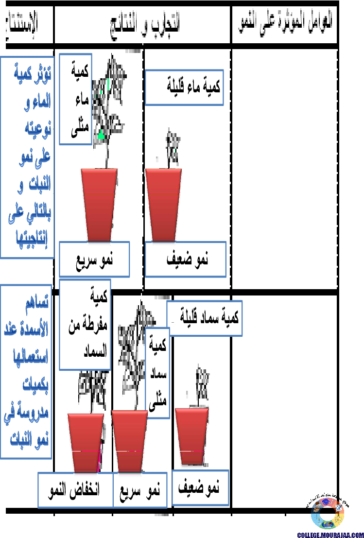 الانتاش_و_النمو_عند_النبات_الاخضر