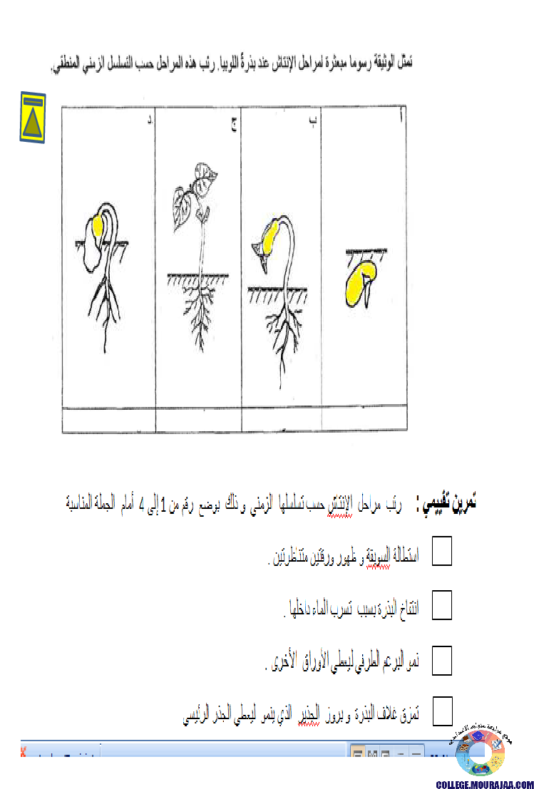 الانتاش_و_النمو_عند_النبات_الاخضر