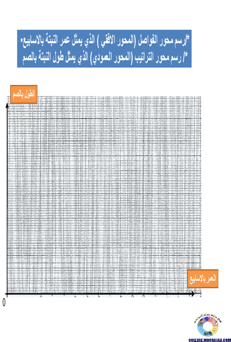 الانتاش_و_النمو_عند_النبات_الاخضر