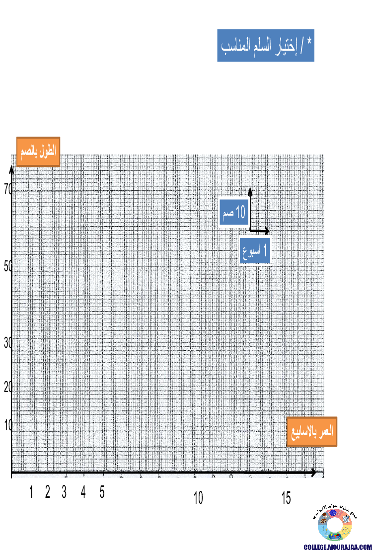 الانتاش_و_النمو_عند_النبات_الاخضر