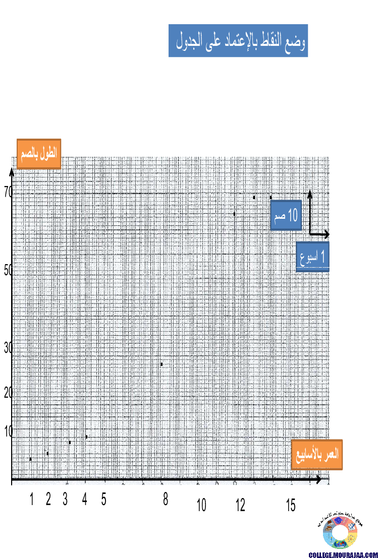 الانتاش_و_النمو_عند_النبات_الاخضر