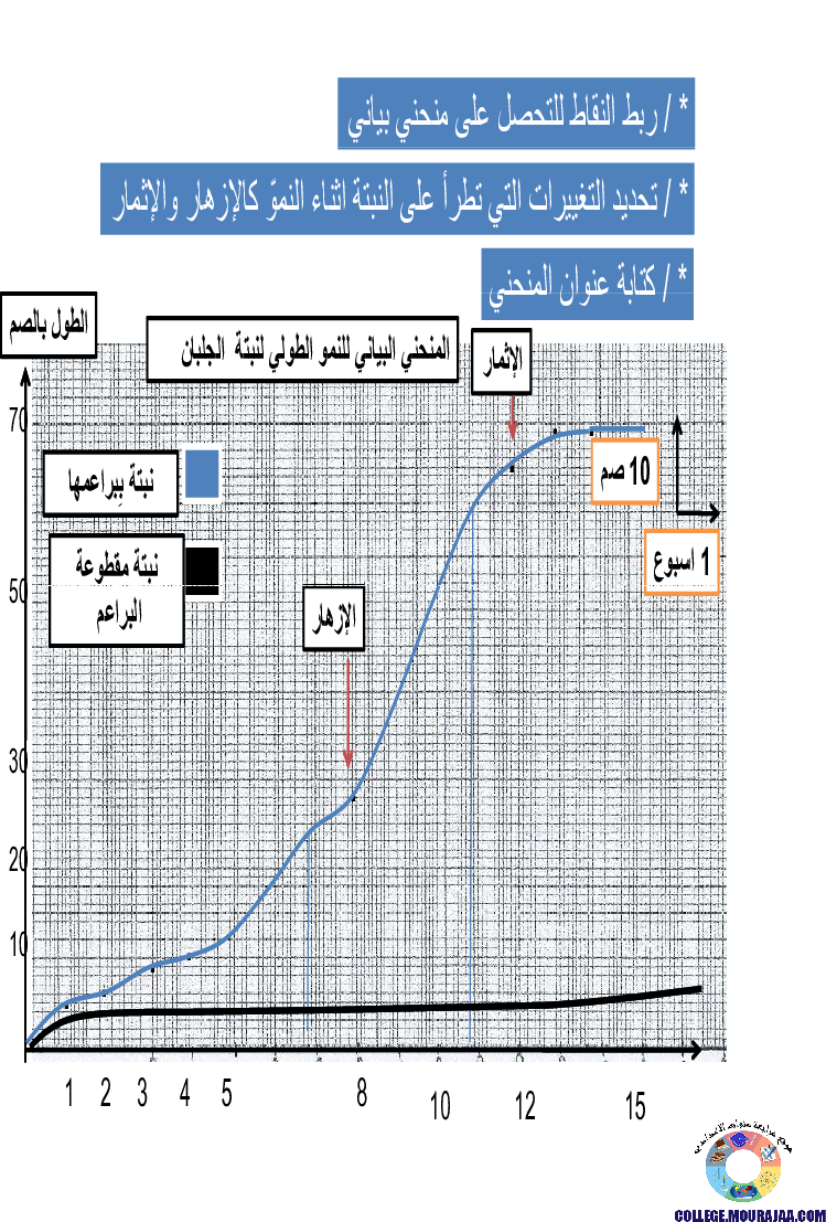الانتاش_و_النمو_عند_النبات_الاخضر