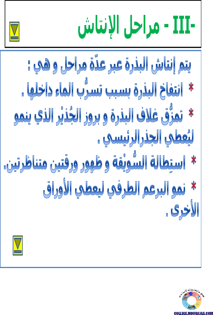 الانتاش_و_النمو_عند_النبات_الاخضر