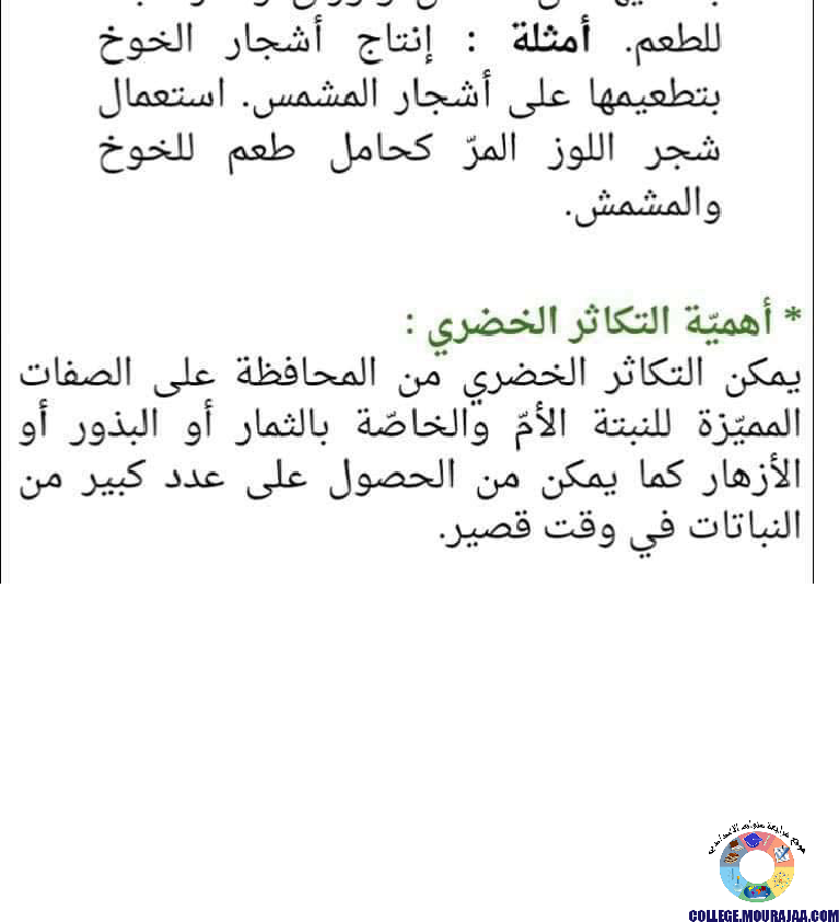 التكاثر_الجنسي_عند_النبات_الزهري