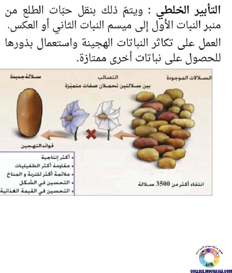 حاجة النبات الاخضر الى الاملاح المعدنية