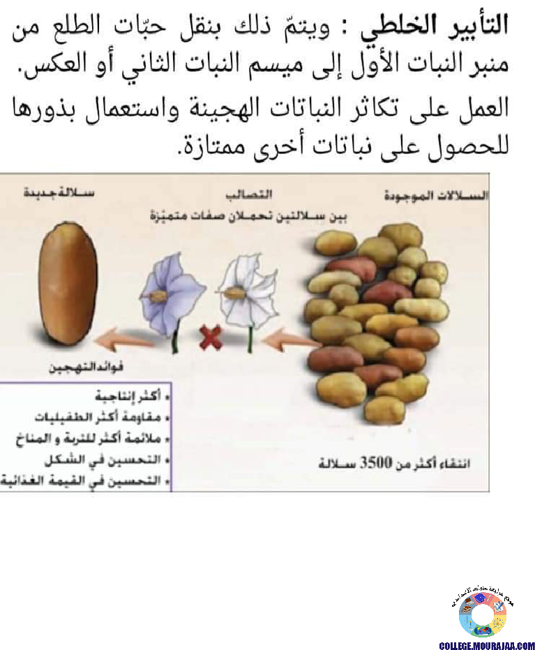 ملخصات دروس علوم الحياة و الارض سنة الثامنة