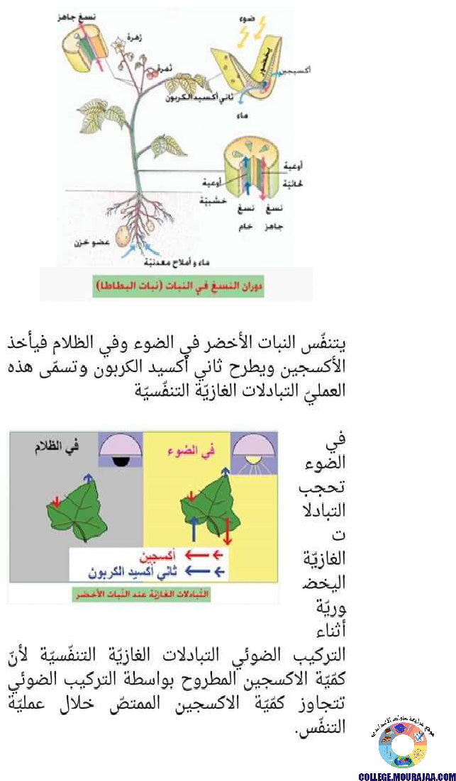 ملخصات دروس علوم الحياة و الارض سنة الثامنة