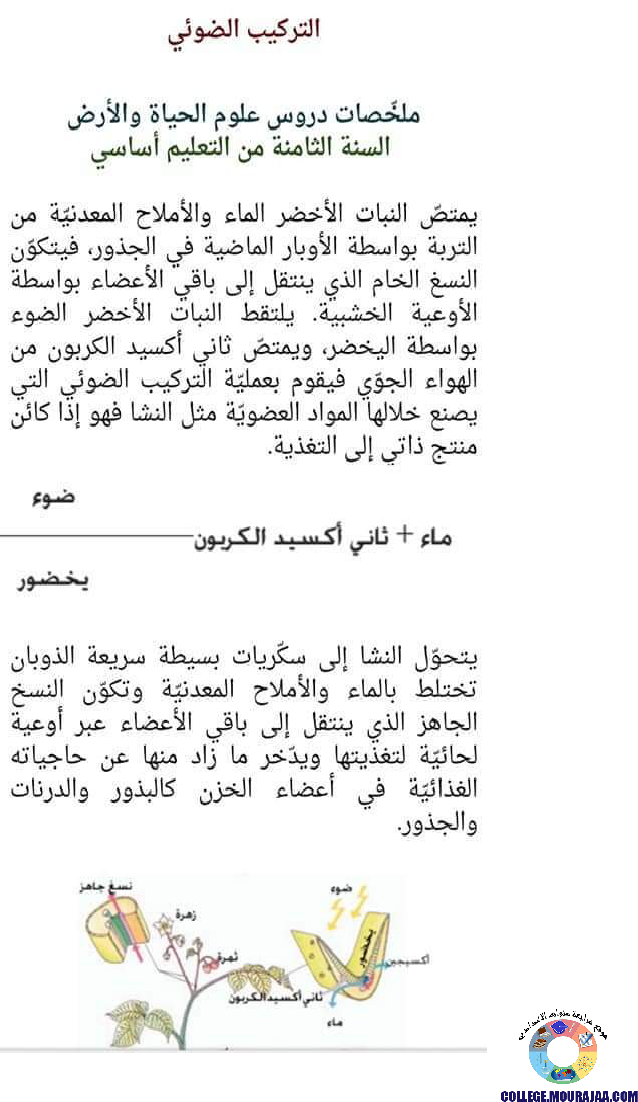 ملخصات دروس علوم الحياة و الارض سنة الثامنة