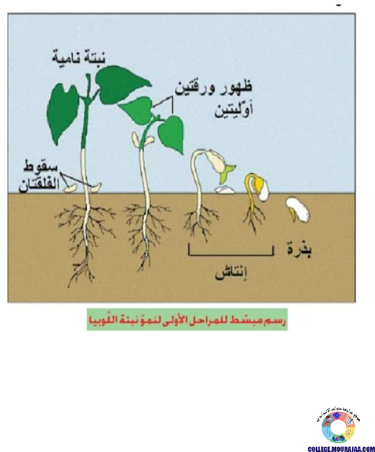 ملخصات دروس علوم الحياة و الارض سنة الثامنة