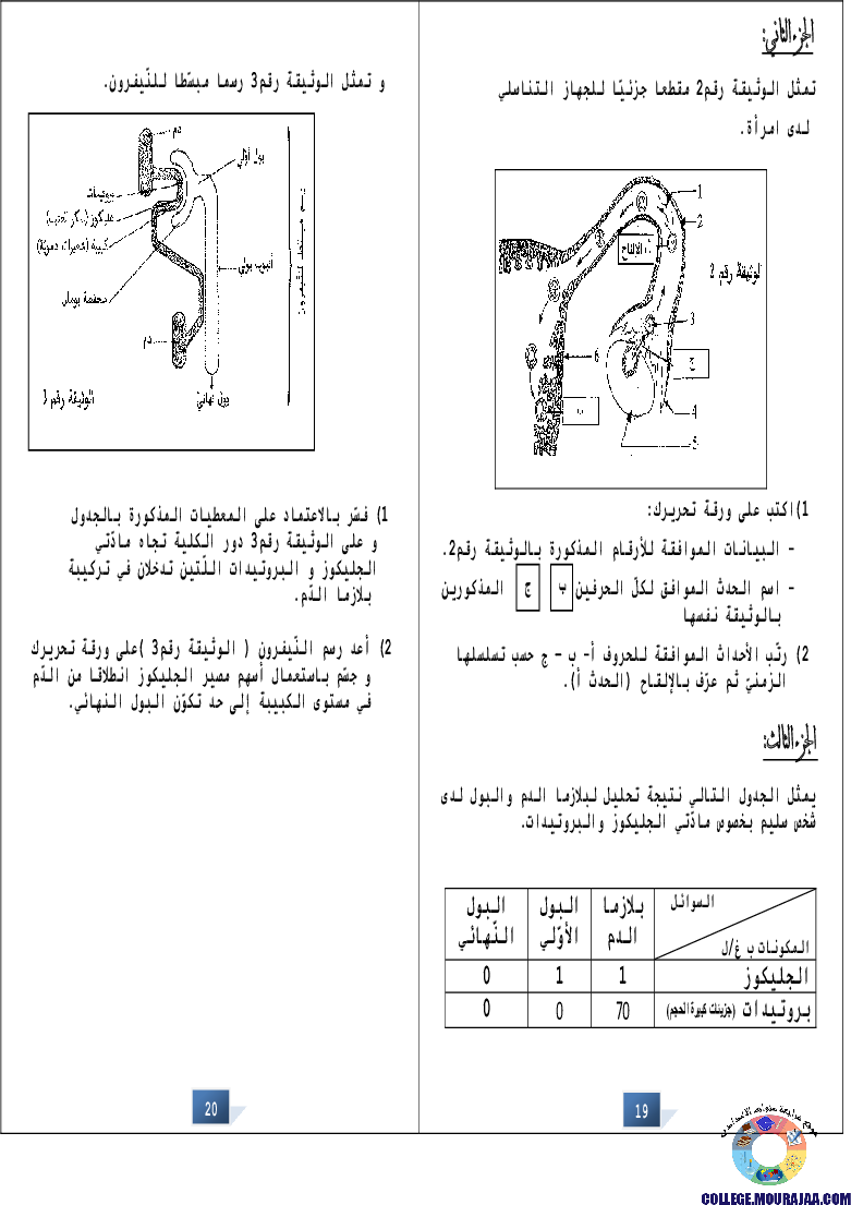 التالق في شهادة ختم التعلمي الاساسي علوم