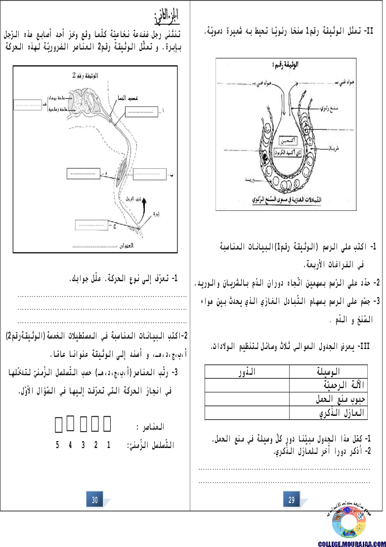 التالق في شهادة ختم التعلمي الاساسي علوم