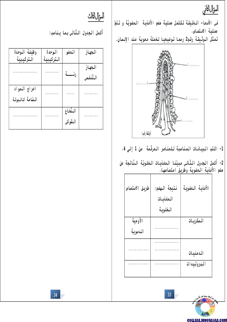 التالق في شهادة ختم التعلمي الاساسي علوم