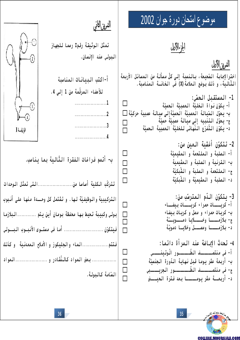 التالق في شهادة ختم التعلمي الاساسي علوم