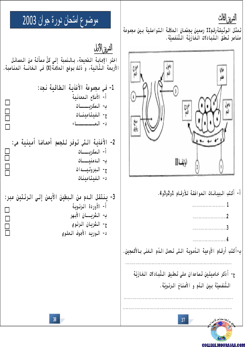 التالق في شهادة ختم التعلمي الاساسي علوم