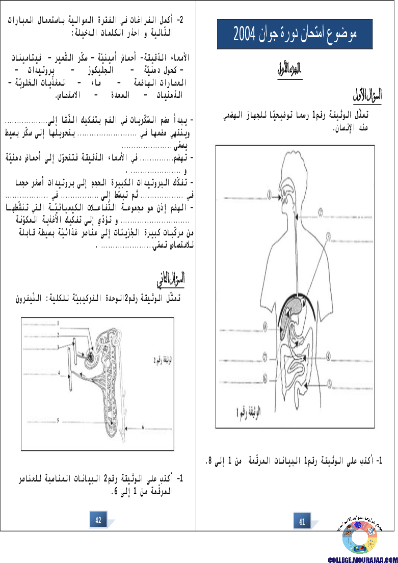 التالق في شهادة ختم التعلمي الاساسي علوم