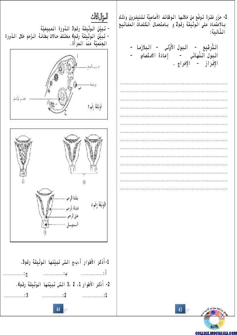 التالق في شهادة ختم التعلمي الاساسي علوم