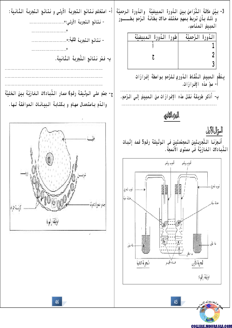 التالق في شهادة ختم التعلمي الاساسي علوم