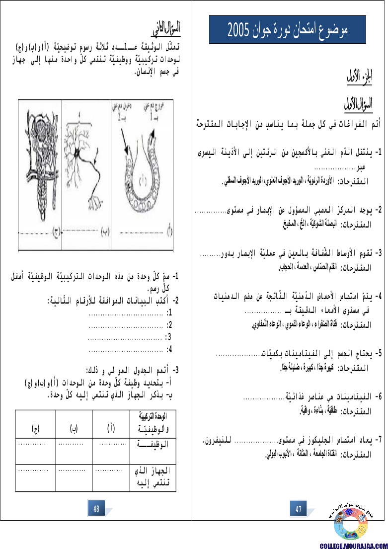 التالق في شهادة ختم التعلمي الاساسي علوم