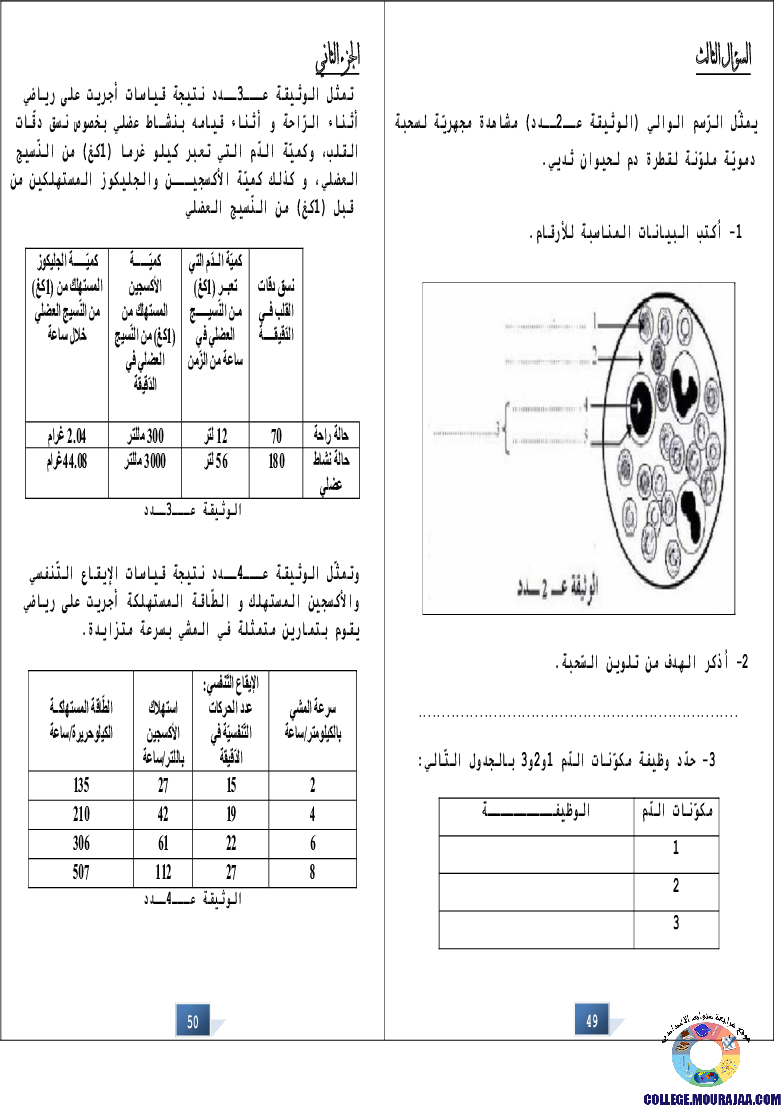 التالق في شهادة ختم التعلمي الاساسي علوم