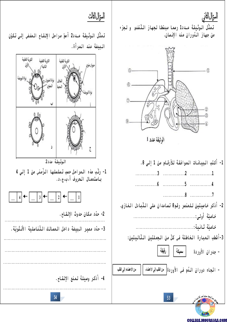 التالق في شهادة ختم التعلمي الاساسي علوم