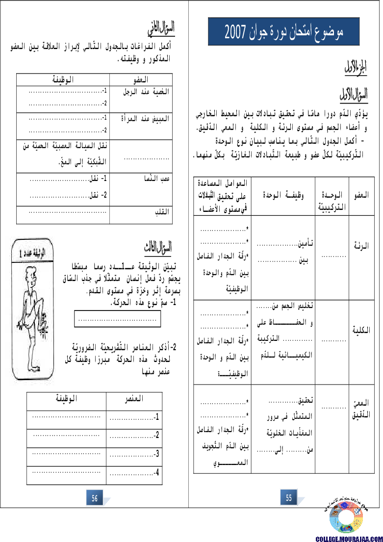 التالق في شهادة ختم التعلمي الاساسي علوم