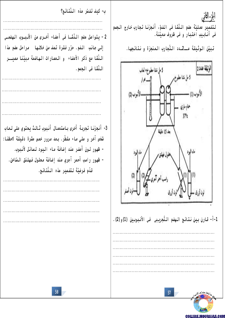 التالق في شهادة ختم التعلمي الاساسي علوم