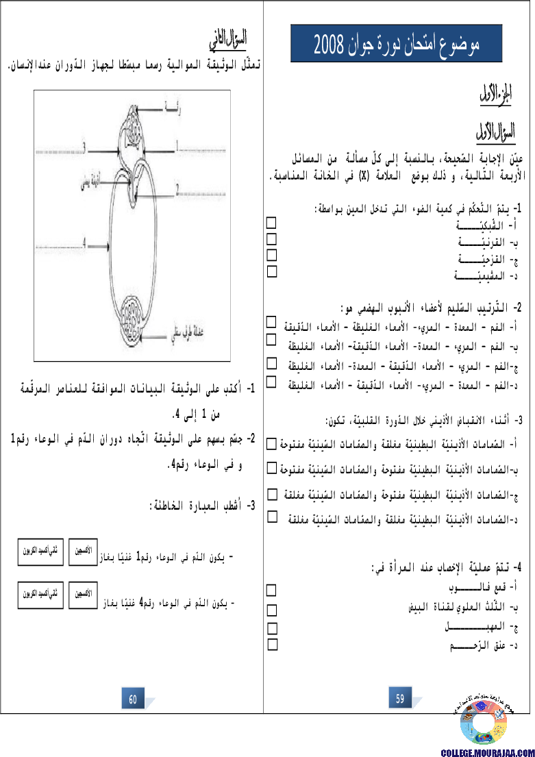 التالق في شهادة ختم التعلمي الاساسي علوم