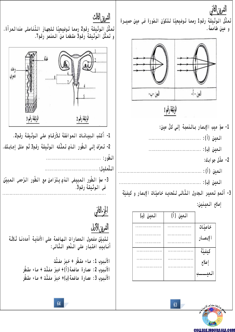 التالق في شهادة ختم التعلمي الاساسي علوم