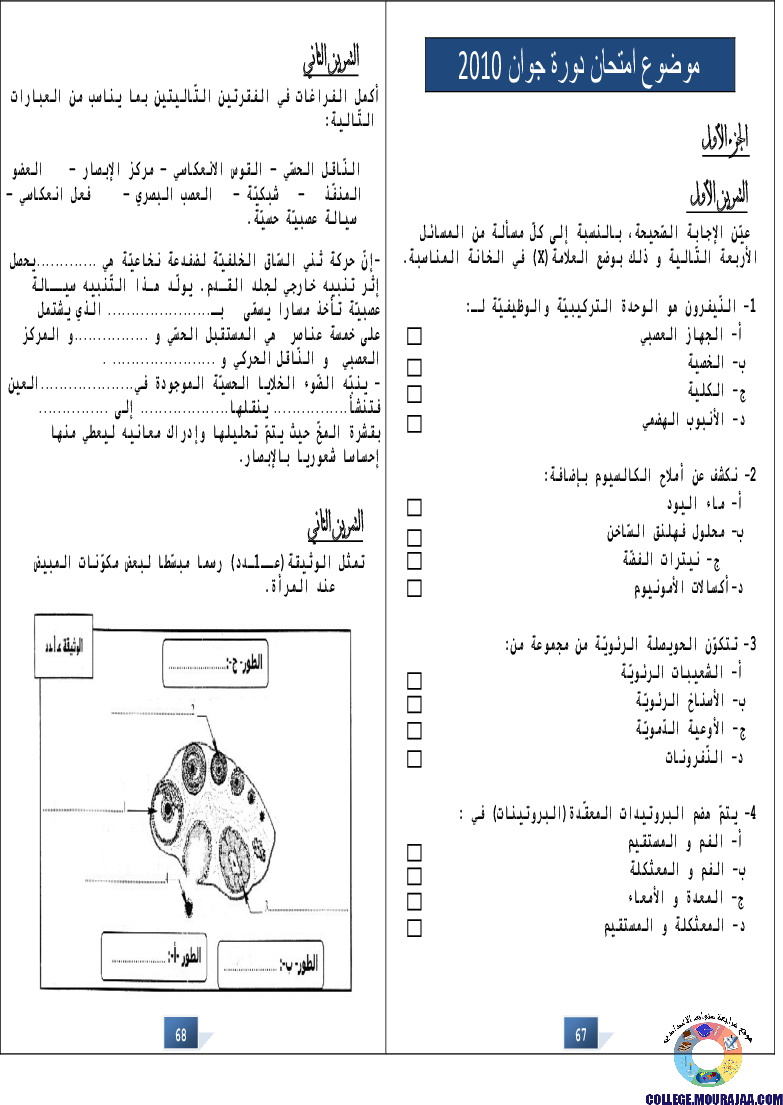 التالق في شهادة ختم التعلمي الاساسي علوم