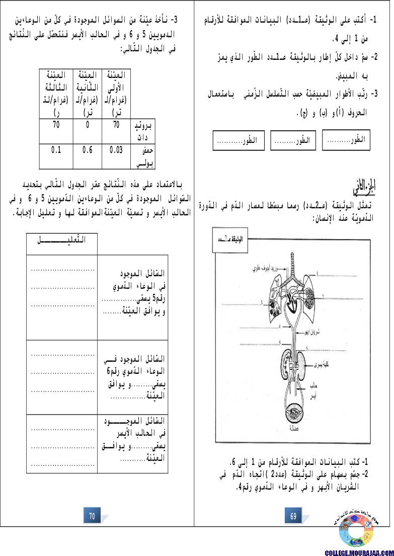 التالق في شهادة ختم التعلمي الاساسي علوم