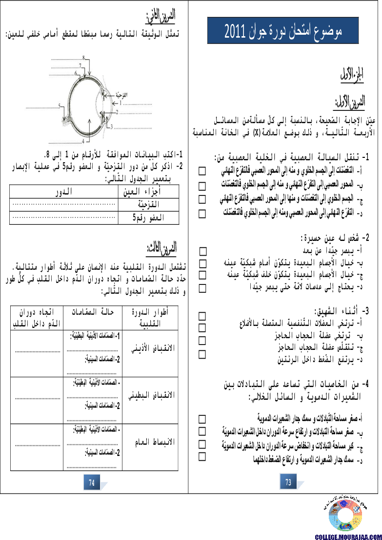 التالق في شهادة ختم التعلمي الاساسي علوم