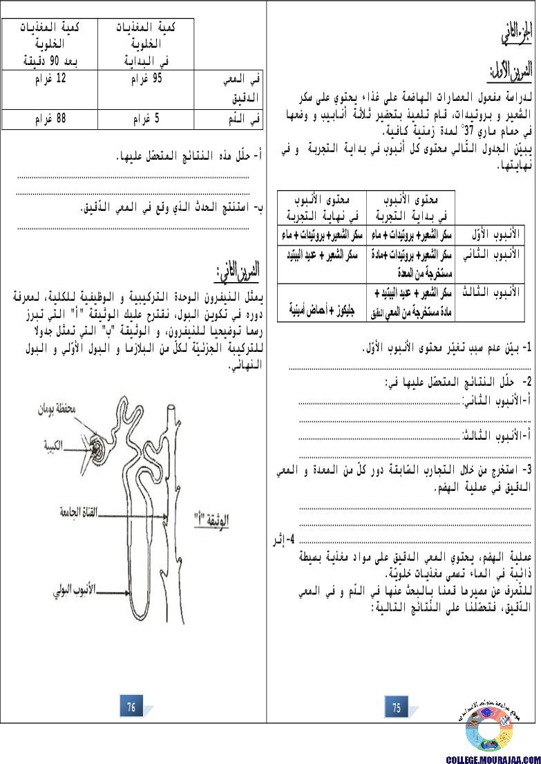 التالق في شهادة ختم التعلمي الاساسي علوم