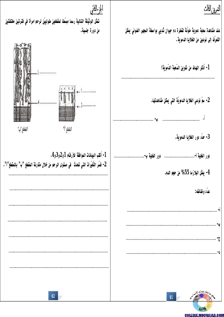 التالق في شهادة ختم التعلمي الاساسي علوم
