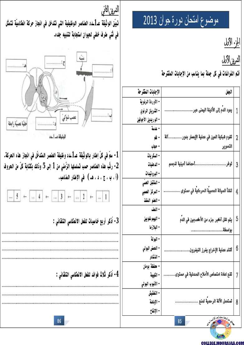 التالق في شهادة ختم التعلمي الاساسي علوم