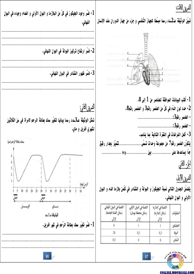 التالق في شهادة ختم التعلمي الاساسي علوم