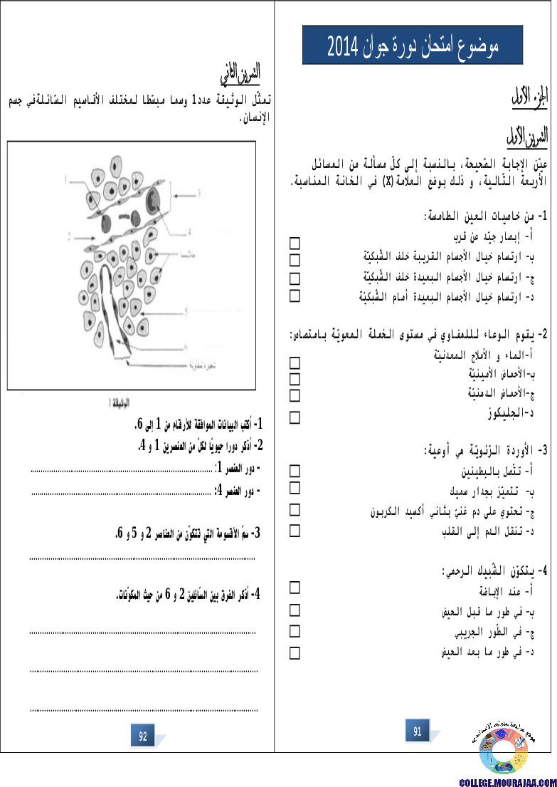 التالق في شهادة ختم التعلمي الاساسي علوم