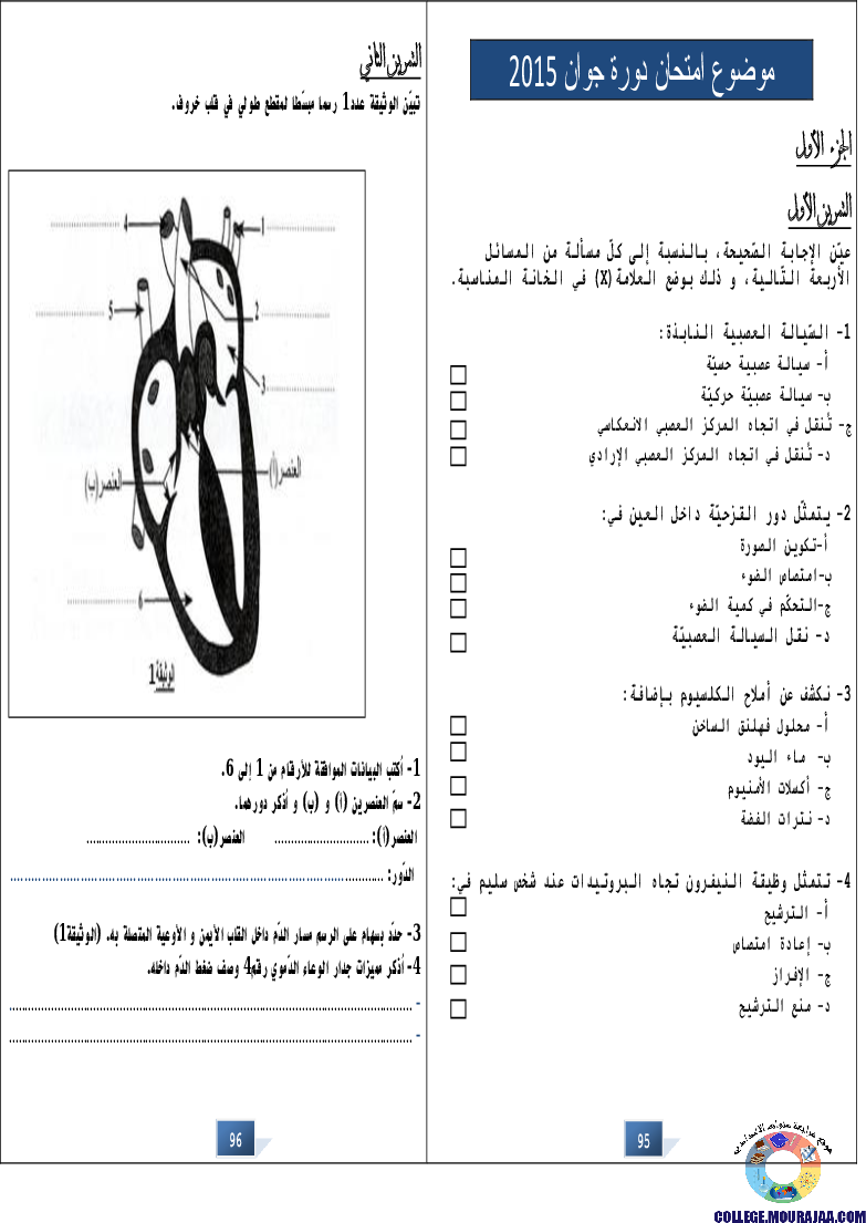التالق في شهادة ختم التعلمي الاساسي علوم